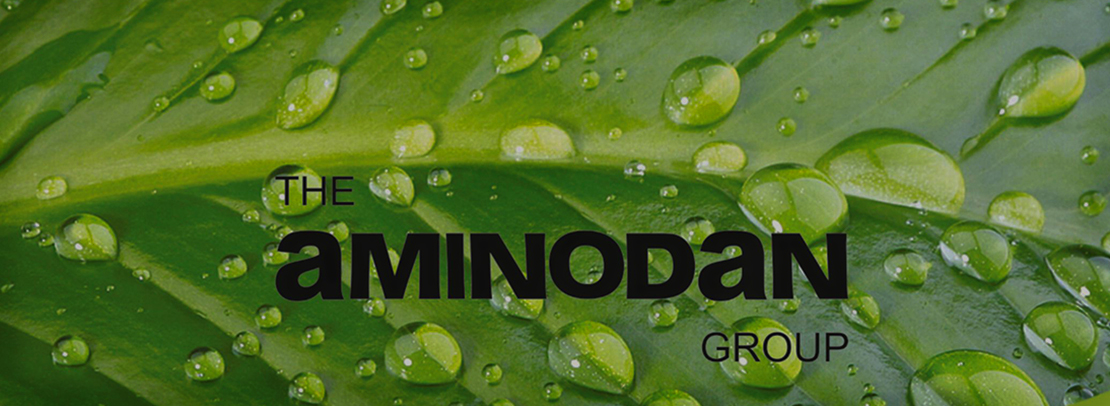The Aminodan Group - Меакомп